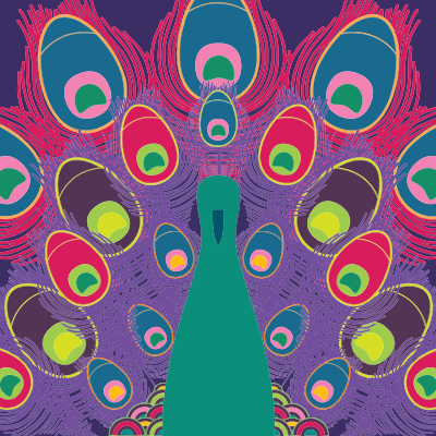 Colorful Peacock Line Art