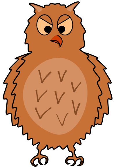 nraged owl   front view