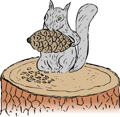 squirrel eating pine cone color